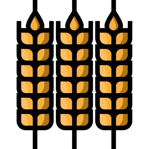 Wheat