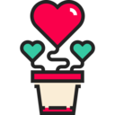 heart,love,plant,valentines day,love and romance,romantic,romance