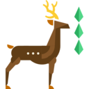 animals,mammal,wildlife,animal kingdom,zoo,deer