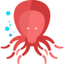 animals,aquarium,sea life,aquatic,octopus