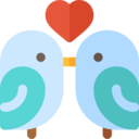 animals,wildlife,pet,animal kingdom,zoo,bird,birds,couple
