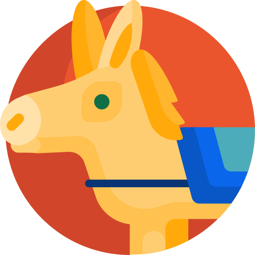 Donkey