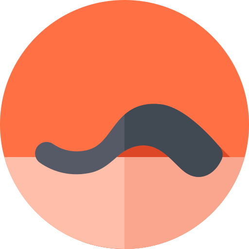 Leech