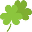 ireland,nature,plant,botanical,leaf,garden,clover,shamrock,Irish,good luck,clovers
