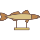 fish,ornamental,adornment,decorative