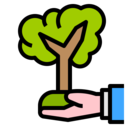 world,ecology and environment,ecology,plant,sprout,eco,environment,green ok 