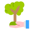 world,ecology and environment,ecology,plant,sprout,eco,environment,green