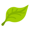 world,organic,ecology,nature,leaf,eco,environment,green