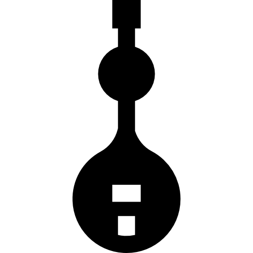 Veena