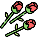 nature,botanical,garden,flower,blossom,roses,rose