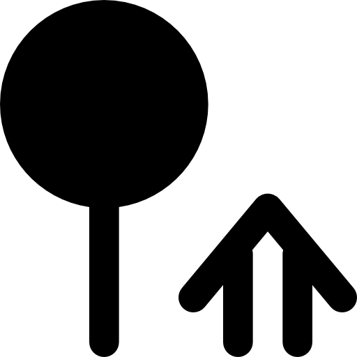 Pin