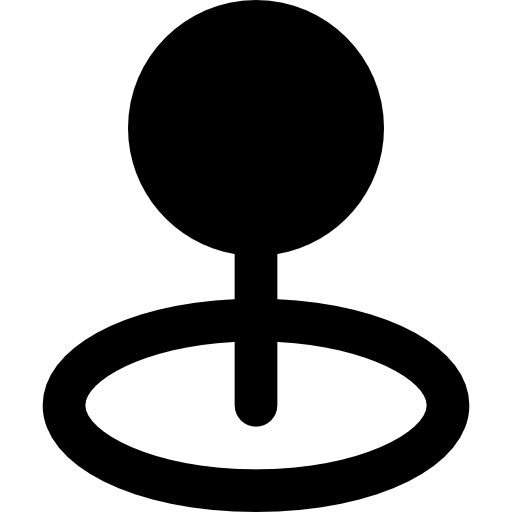 Pin