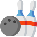 sports and competition,sport,sports,entertainment,gaming,fun,game,leisure,bat,hobbies and free time,team sports,bowling,pins,fair,bowling pins,bowling ball