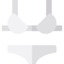 femenine,fashion,underwear,panties,knickers,bra,brassiere,lingerie,thong ok 