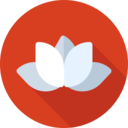 cultures,nature,botanical,lotus,garden,flower,blossom