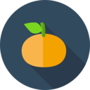 food,vegan,healthy food,food and restaurant,organic,diet,vegetarian,fruit,orange
