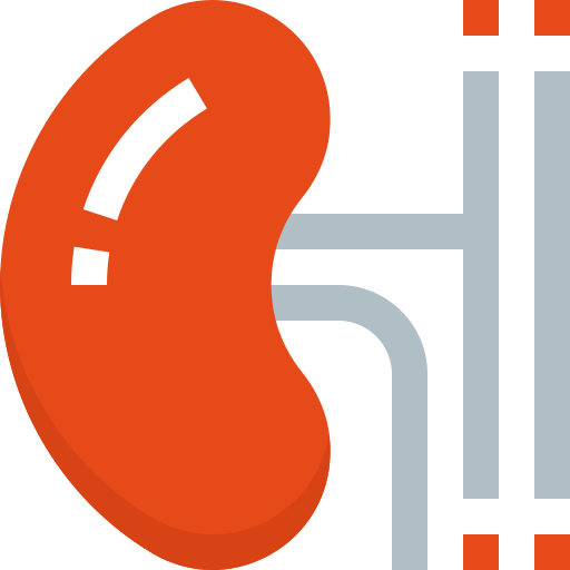 Kidney