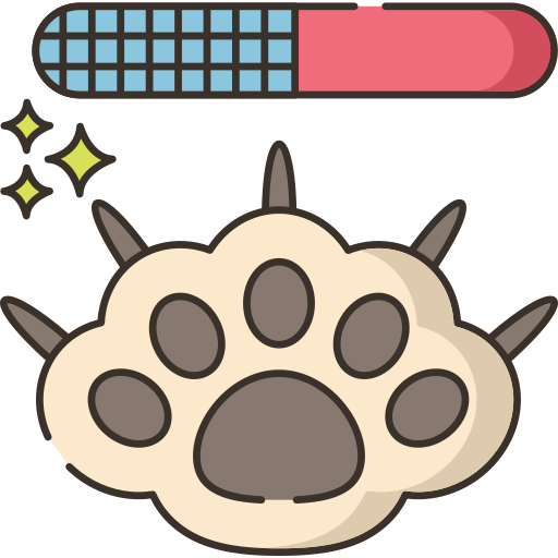 Nail