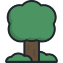 landscape,nature,trees,woods,forest,pines ok 