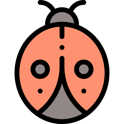 Ladybug