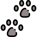 animals,cat,dog,pawprint,footprint
