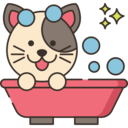 animals,medical,beauty,cat,cleaning,bathing,washing