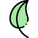 nature,plant,botanical,leaf,garden