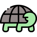 animals,pet,reptile,animal,turtle,Tortoise