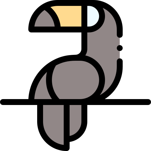 Toucan