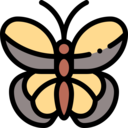 animals,animal,insect,wings,entomology,butterfly