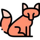 animals,wildlife,animal kingdom,zoo,fox
