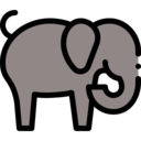 animals,mammal,wildlife,nature,wild life,animal kingdom,zoo,animal,elephant