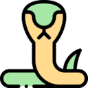 animals,wild life,animal kingdom,zoo,snake,reptile,animal,cobra