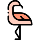 animals,wildlife,animal kingdom,zoo,bird,flamingo