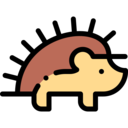animals,wildlife,animal kingdom,zoo,hedgehog
