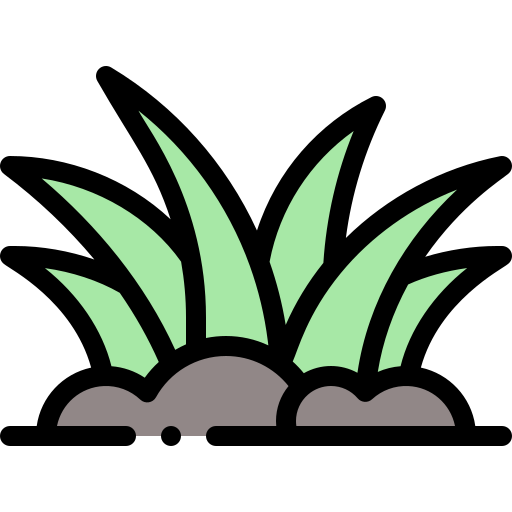 Grass