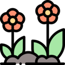 nature,pot,plant,gardening,garden,plants,flower,flowers,rectangular,flowering