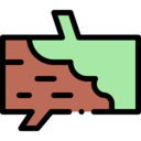 nature,plant,tree,forest,moss