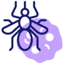 animals,bug,animal,insect,mosquito,malaria