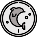 money,business,exchange,currency,banking,cash,coin
