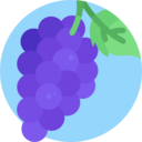 food,vegan,healthy food,food and restaurant,organic,diet,vegetarian,fruit,grape,grapes