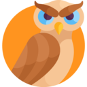 animals,wild life,animal kingdom,bird,owl,hunter