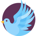 animals,bird,animal,pigeon,dove,fly,park