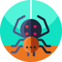 animals,bug,animal,spider,insect,arachnid,danger,entomology,anim,arachnophobia ok 