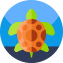 animals,wildlife,nature,wild life,animal kingdom,zoo,reptile,aquarium,sea life,animal,aquatic,turtle ok 