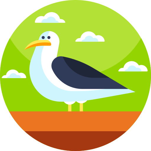 Seagull