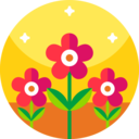 nature,botanical,holidays,flower,blossom,petals,flowers,rose ok 
