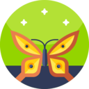 animals,left,animal,insect,butterfly,buterflies