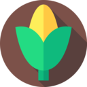 vegan,healthy food,food and restaurant,organic,diet,vegetarian,cereal,corn