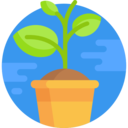 ecology and environment,nature,plant,farming and gardening,leaf,leaves,growth,plant leaf,growing,grow,germination